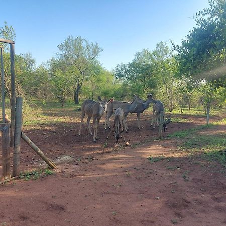 Call Of The Wild Lodge Hoedspruit Luaran gambar
