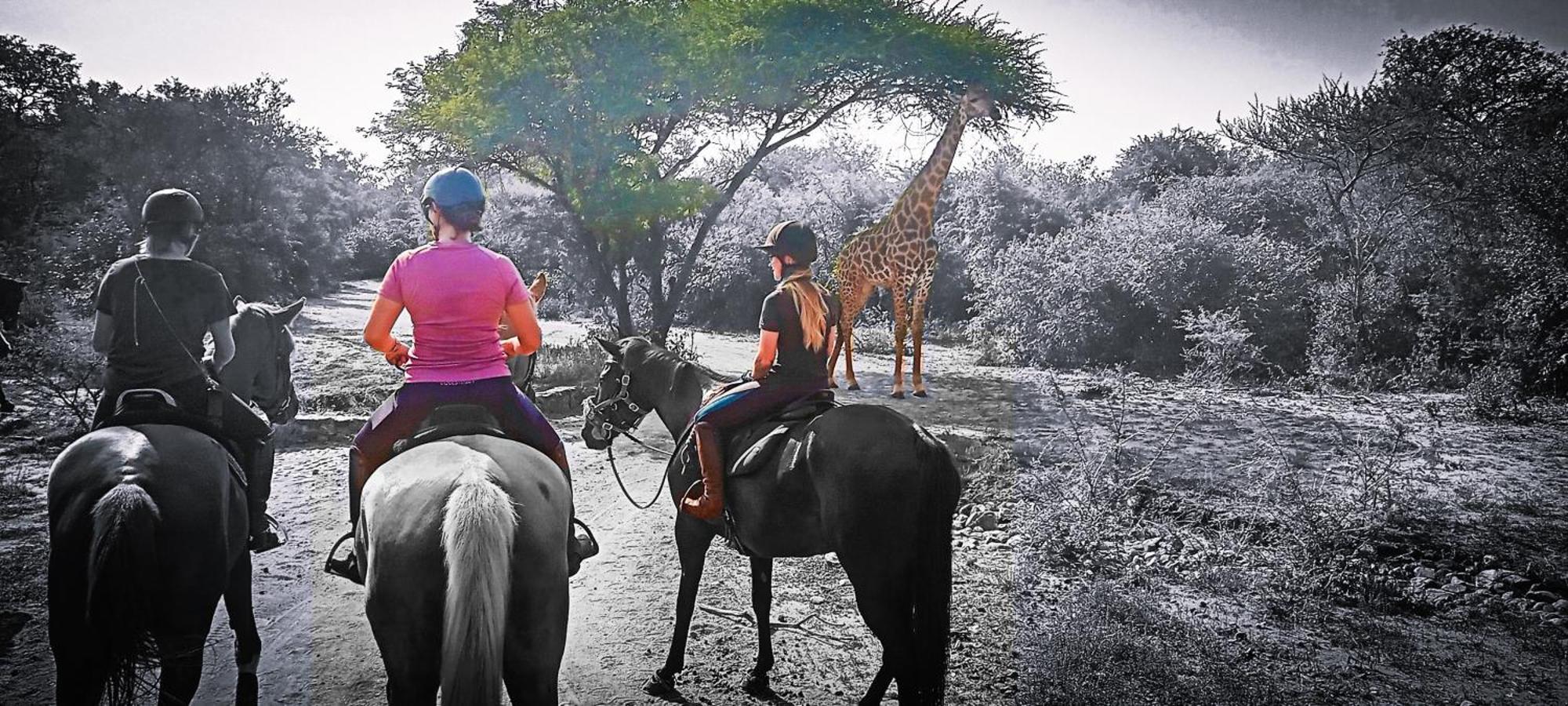 Call Of The Wild Lodge Hoedspruit Luaran gambar